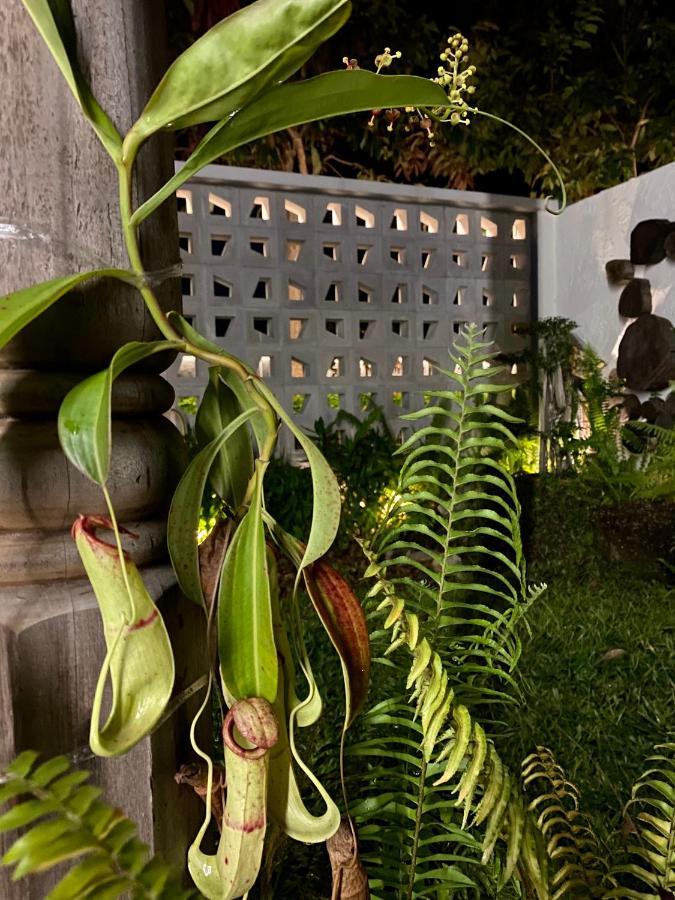 Ikiru 18 Private Saltwater Pool Villa, 3 Ensuite Br, Outdoor Bbq, 5 Mins To Beach Pantai Cenang  Exteriör bild